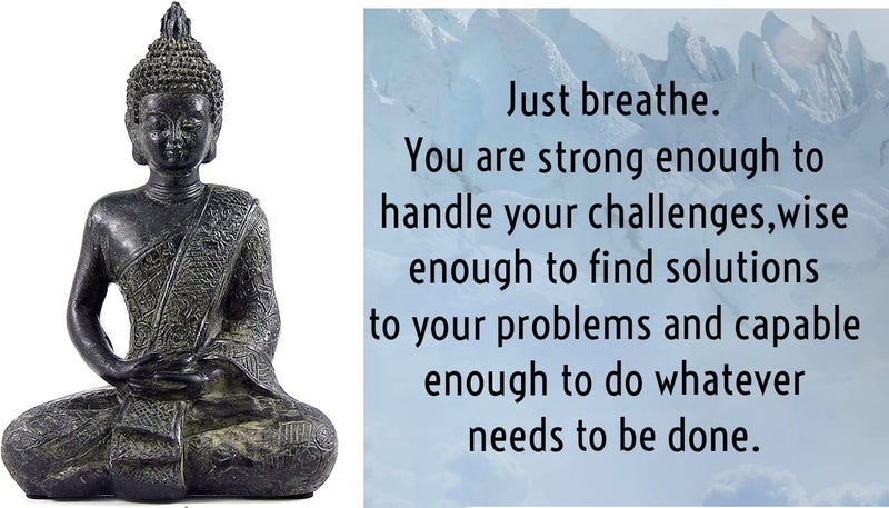Bellaa Black Buddha Statue Enlightenment Meditation Dhyana Mudra Sitting Blessing Goodluck Happy Collectibles Figurines Sculpture Living Room Outdoor Garden Patio - Image 4